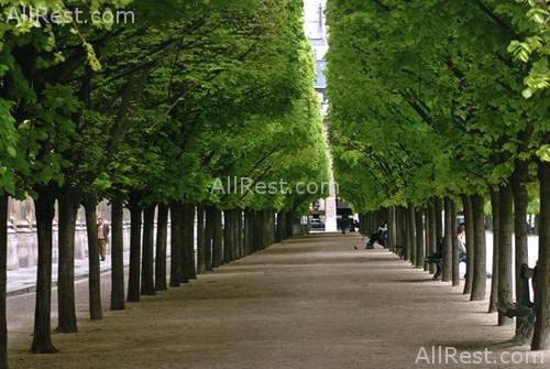 Hotel Prince de Galles 10